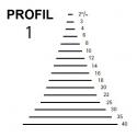 KIRSCHEN Dłuto rzeźbiarskie proste profil 1 szerokość 6mm (3101006)