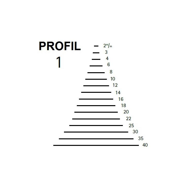 KIRSCHEN Dłuto rzeźbiarskie proste profil 1 szerokość 16mm (3101016)