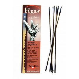Pegas Brzeszczoty REGULAR z przetyczką do drewna 10 TPI, 127mm 6 szt (90.477)