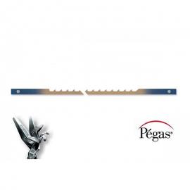 Pegas Brzeszczoty HOOK z przetyczką do drewna 7 TPI, 127mm 6 szt (90.485