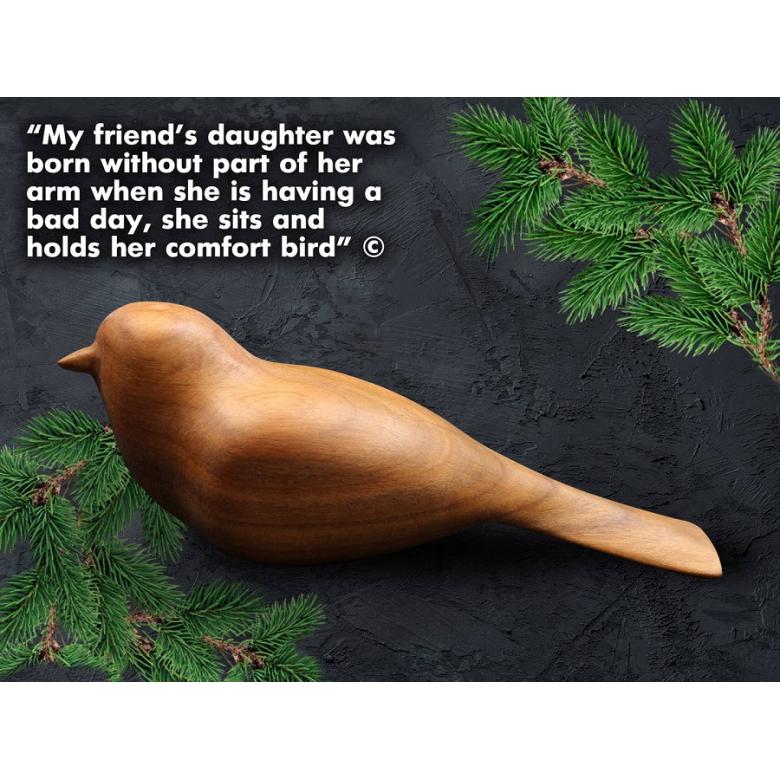 Beavercraft Zestaw do rzeźbienia Hobby ptaszek DIY01