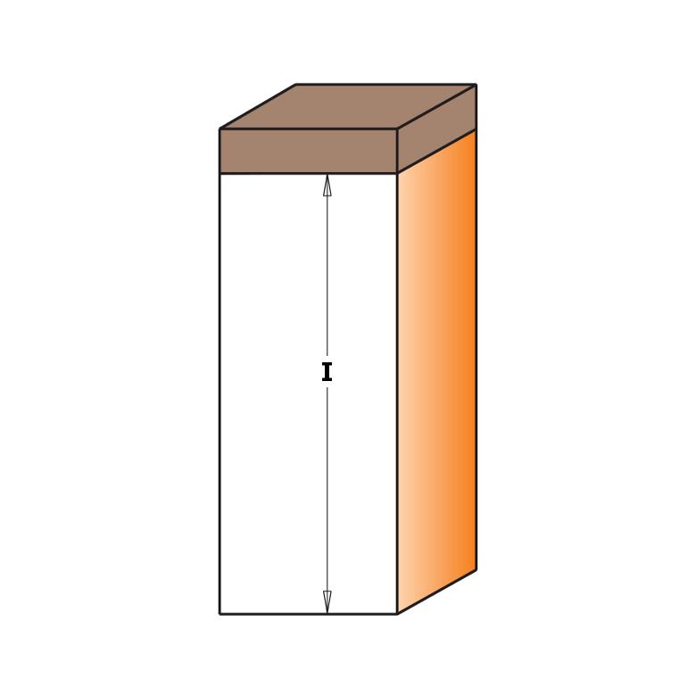 CMT Frez prosty na płytki wymienne  D-19, I-49,5, L-100, S-12,7mm (652.691.11B)