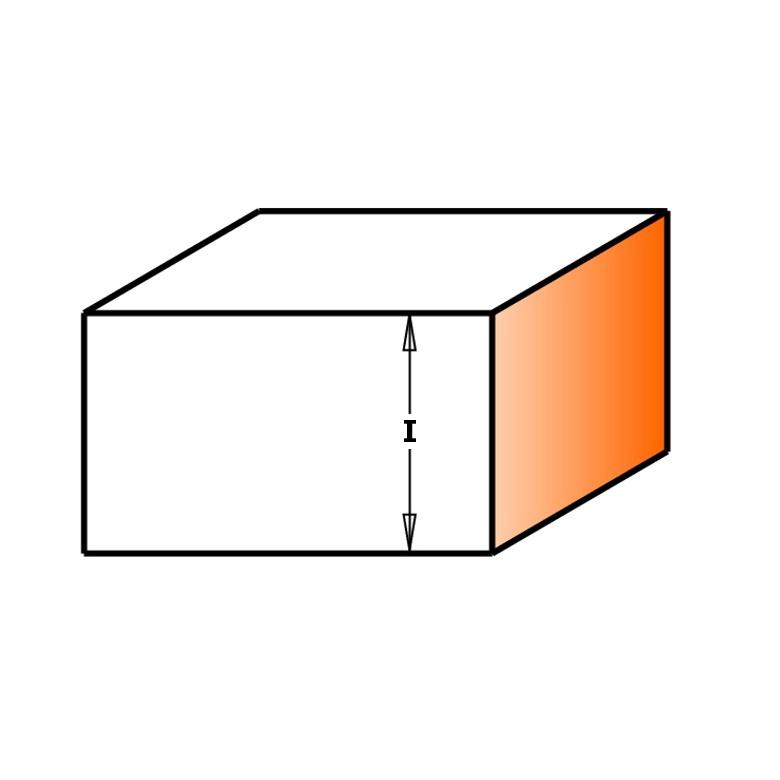 CMT Frez prosty na płytki wymienne średnica 19mm długość 12,0mm (654.160.11)