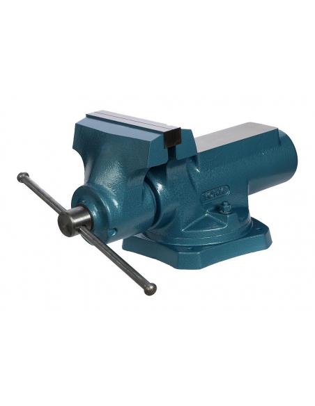 YORK Imadło warsztatowe TITAN 250 (TITAN250)