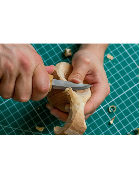 Beavercraft Zestaw do rzeźbienia łyżek i kuks (3 narzędzia i akcesoria polerskie) S38